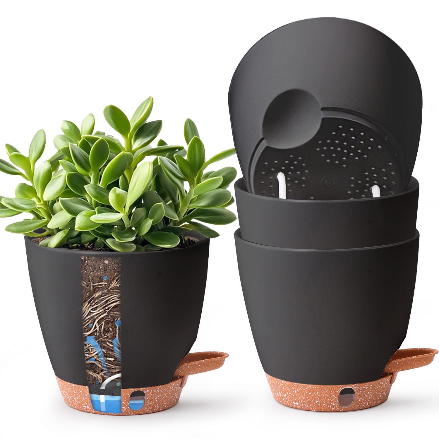 T4U 6 Inch Self-Watering 4-Pack