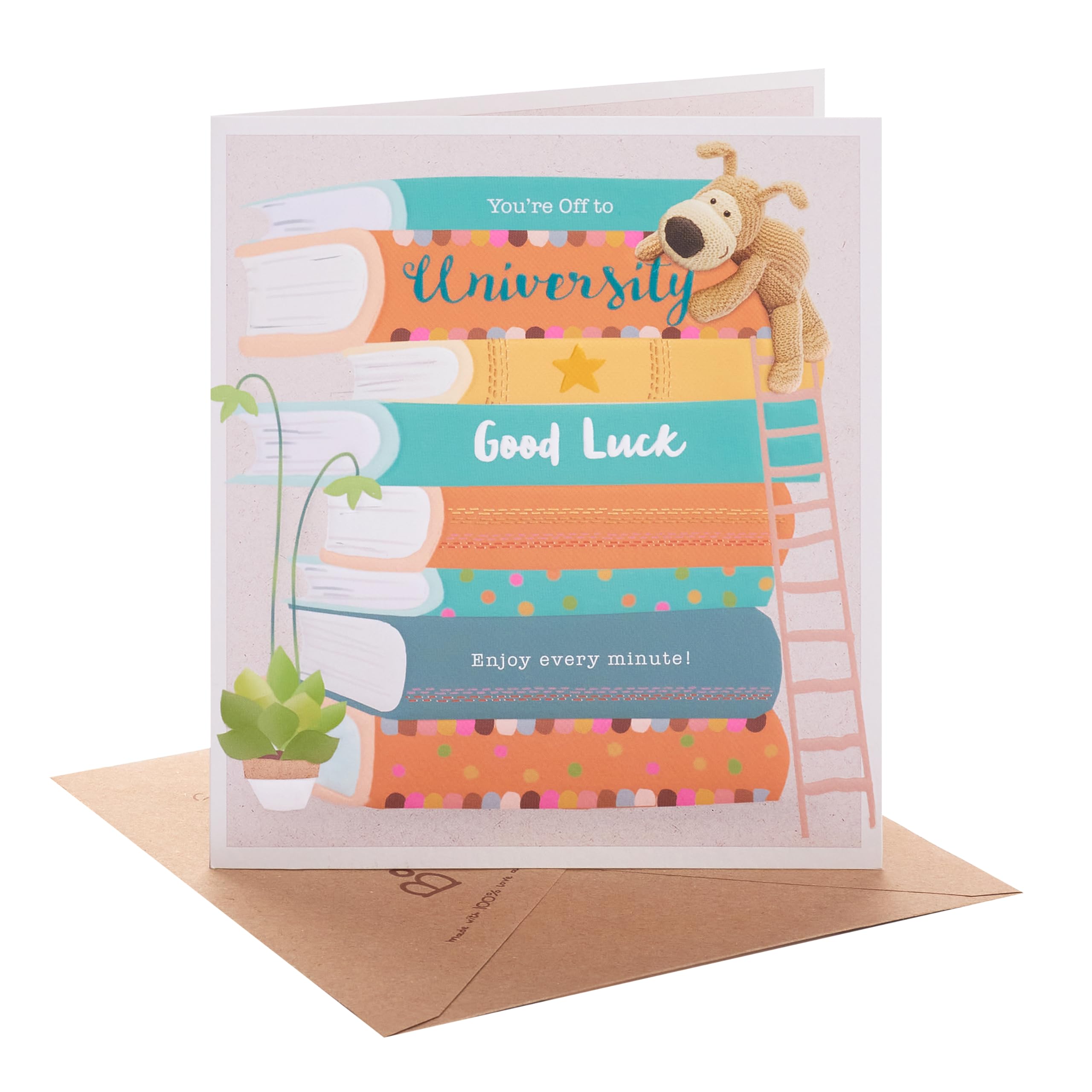 Boofle | Good Luck at University Card | Greeting Card | Her/Him | Books and Ladder Design | With Envelope | 15.9 x 18.4 cm