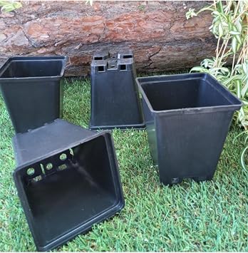 Kare Saks  30 Adet 0,50 Lt 9,3X10,4 Cm  retim Saks s  Siyah Saks  Kare  retim Saks  Plastik Saks