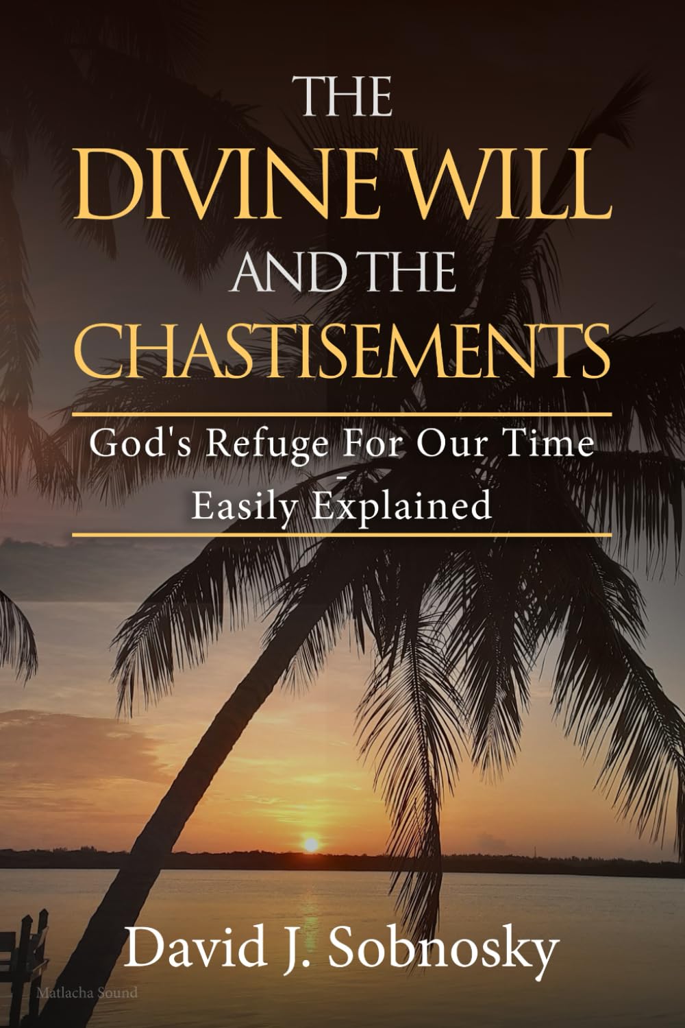 The Divine Will And The Chastisements: God's Refuge For Our Time - Easily Explained
