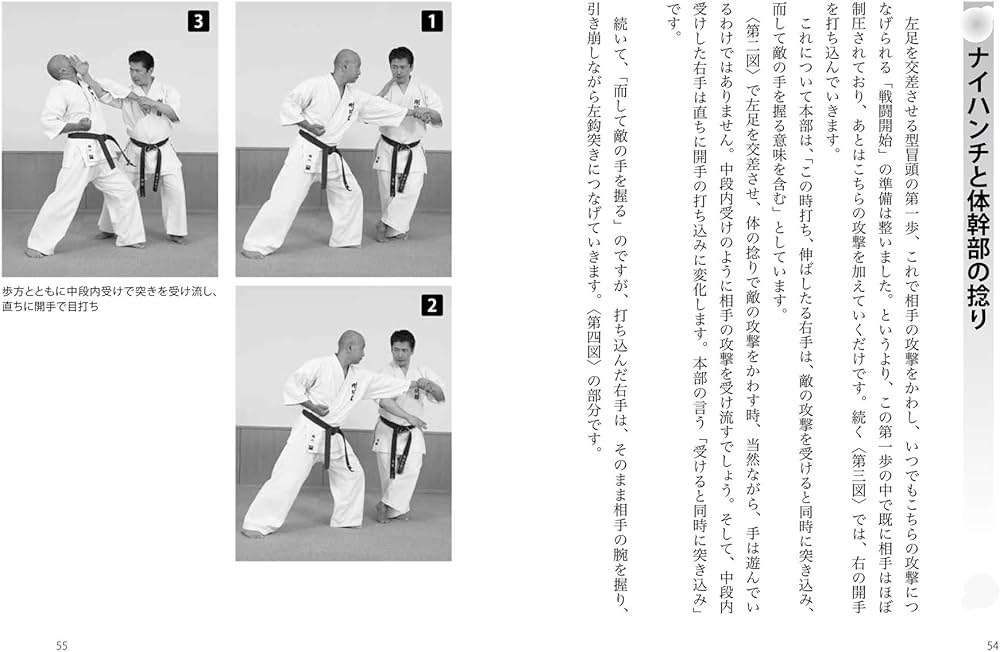 沖縄伝統空手道　那覇手(剛柔流)・泊手(松茂良派)二大流派の血脈を探る 那覇手剛柔流空手で解く【首里手・泊手のナイハンチ】｜本部流