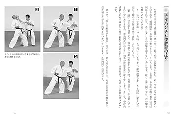 沖縄空手の超接近技法: 剛柔流で解く!首里手・泊手のナイハンチ