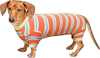 Amazon Co Jp 人気のミニチュアダックス 服ランキング