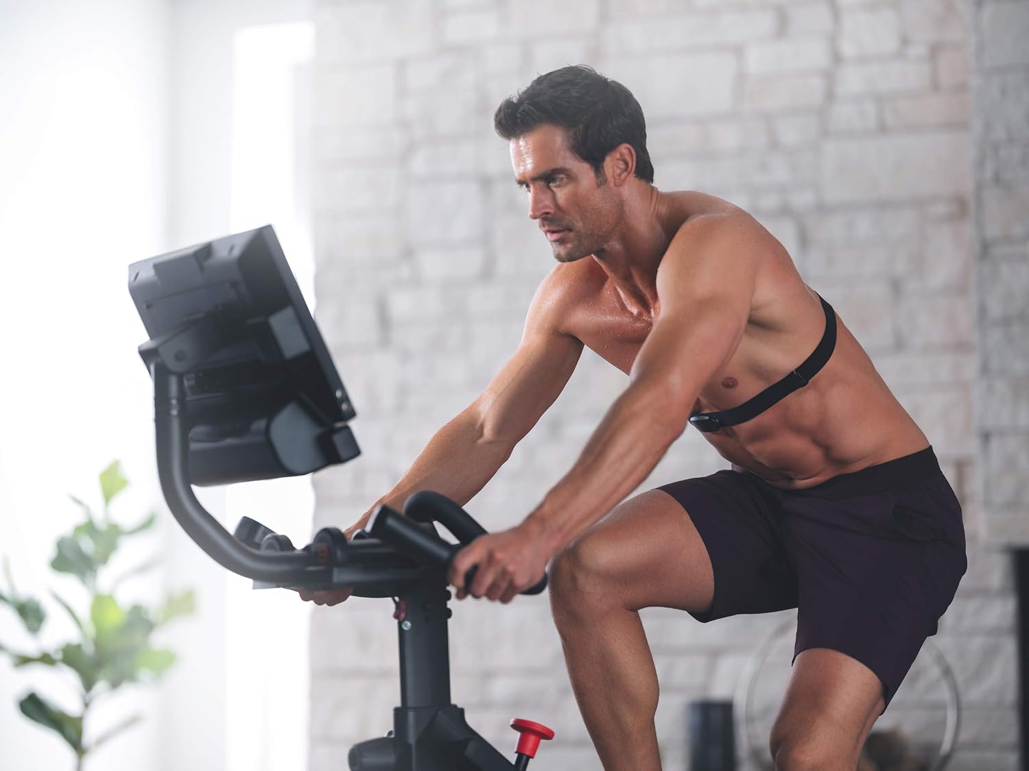 NordicTrack Commercial Studio Cycle