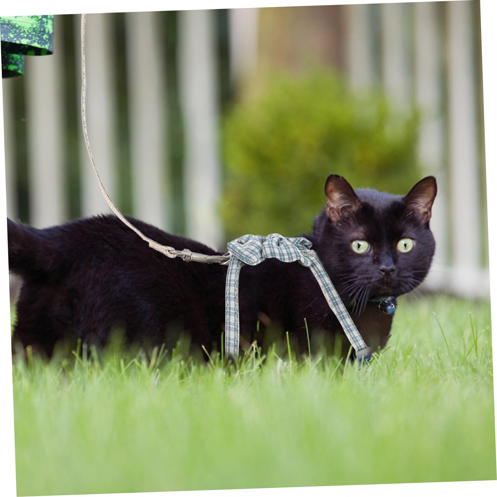 Didiseaon 4sets Per Gatti Regolabile Con Guinzaglio Di Pettorina Per Gatti Da Massimo Comfort e Sicurezza Durante Le Passeggiate