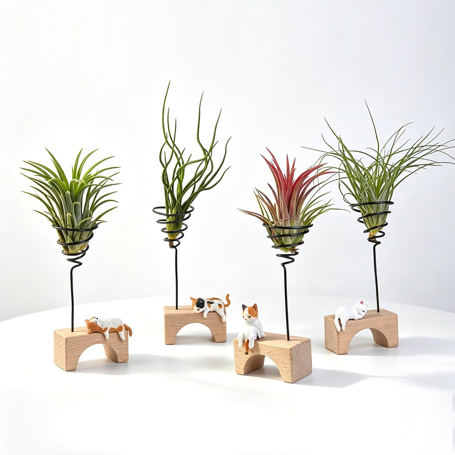 Air Plant Holder Set of 4, Cute Cat Wooden Base for Desk Home Decor