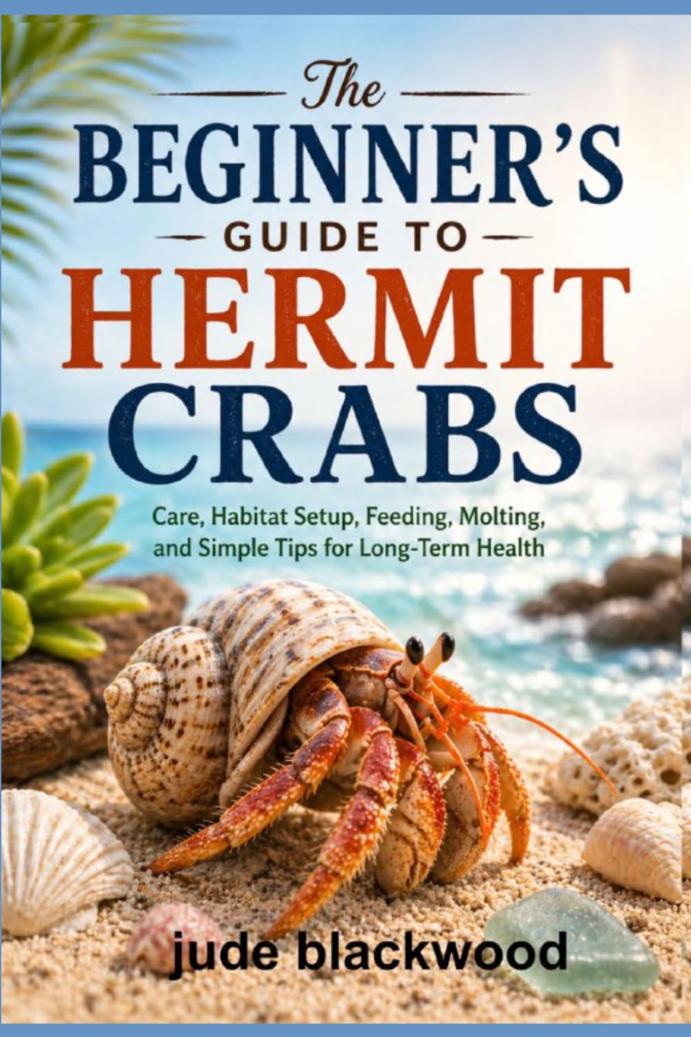 The Beginner’s Guide to Hermit Crabs: Care, Habitat Setup, Feeding, Molting, and Simple Tips for Long-Term Health