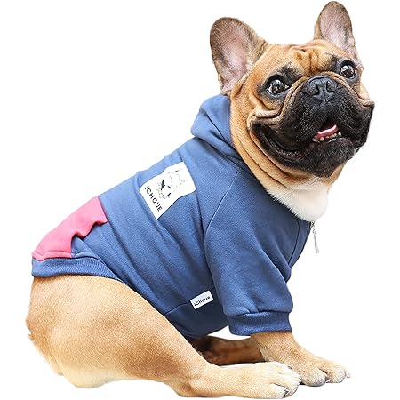 boston terrier winter jacket