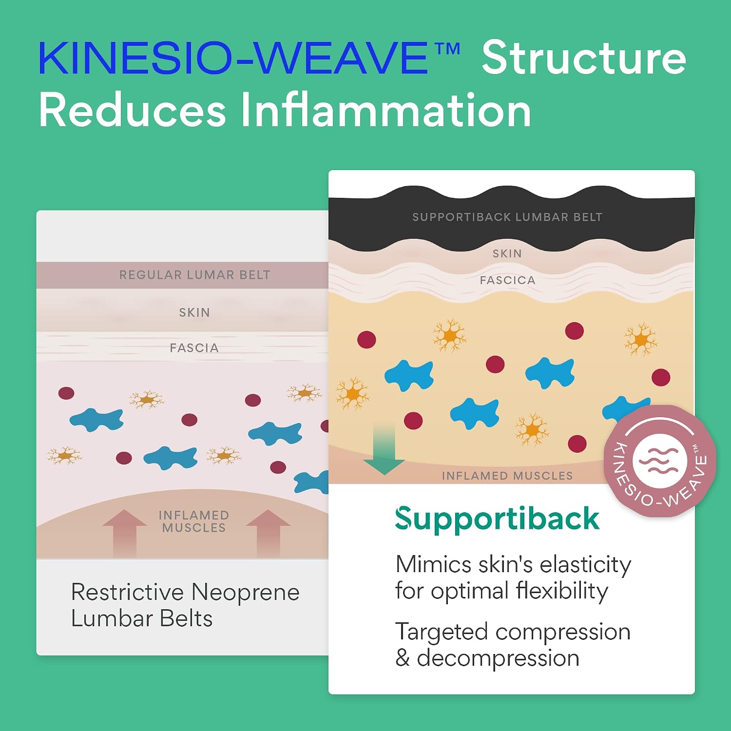 Targeted Support Lumbar Belt - Patented 3-Zone Structure for Natural Posture - 3X Less Inflammation - Sweat-Wicking & 2X More Breathable