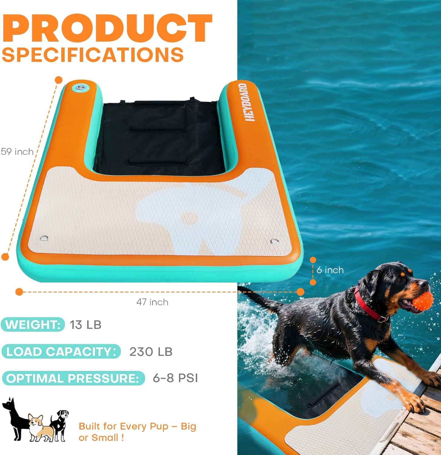Inflatable Paddle Board & Inflatable Dog Pool Ramp Bundle