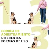Ver la foto 7