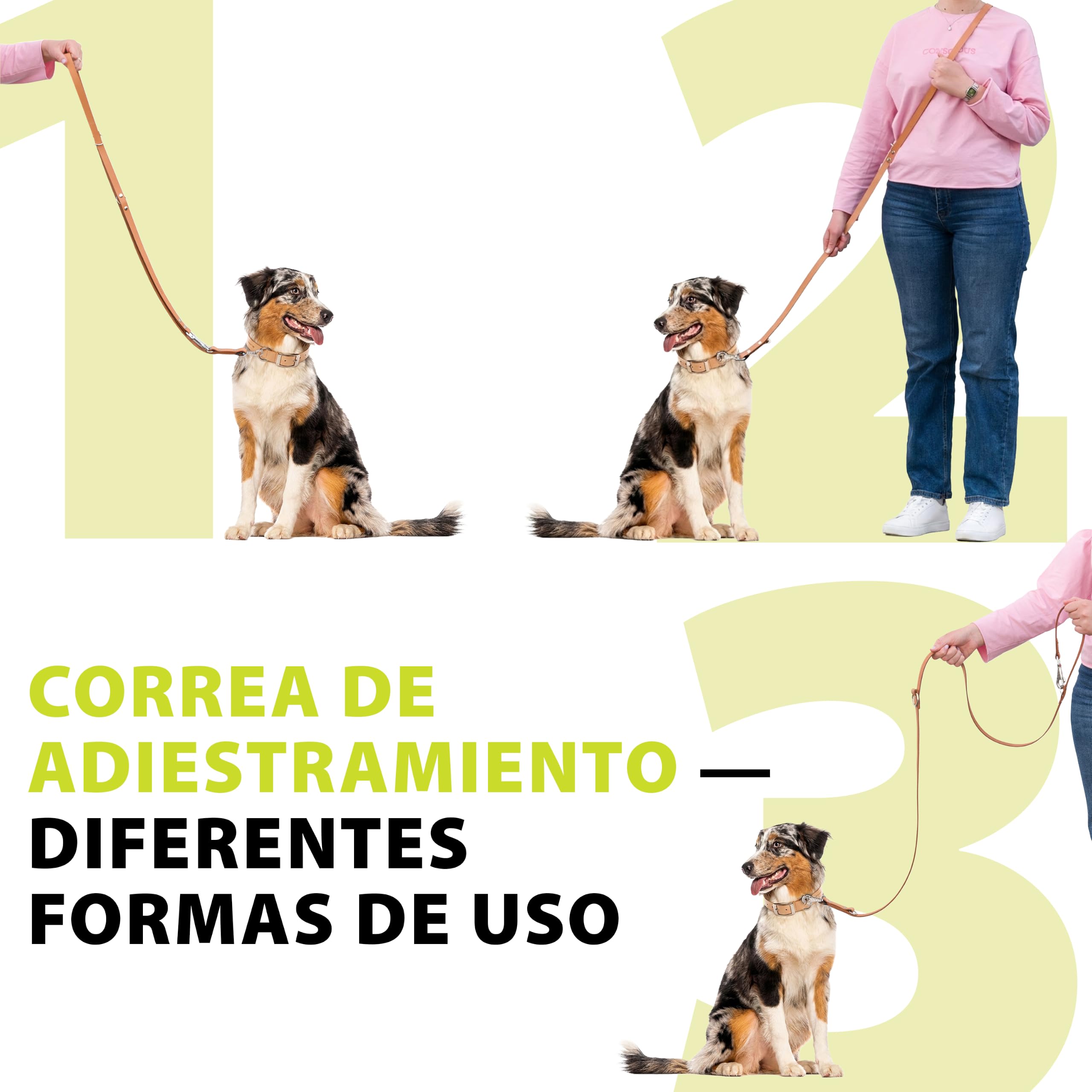 Ferplast Guinzaglio per Cani Guinzaglio per addestramento cane cani in cuoio nero o naturale