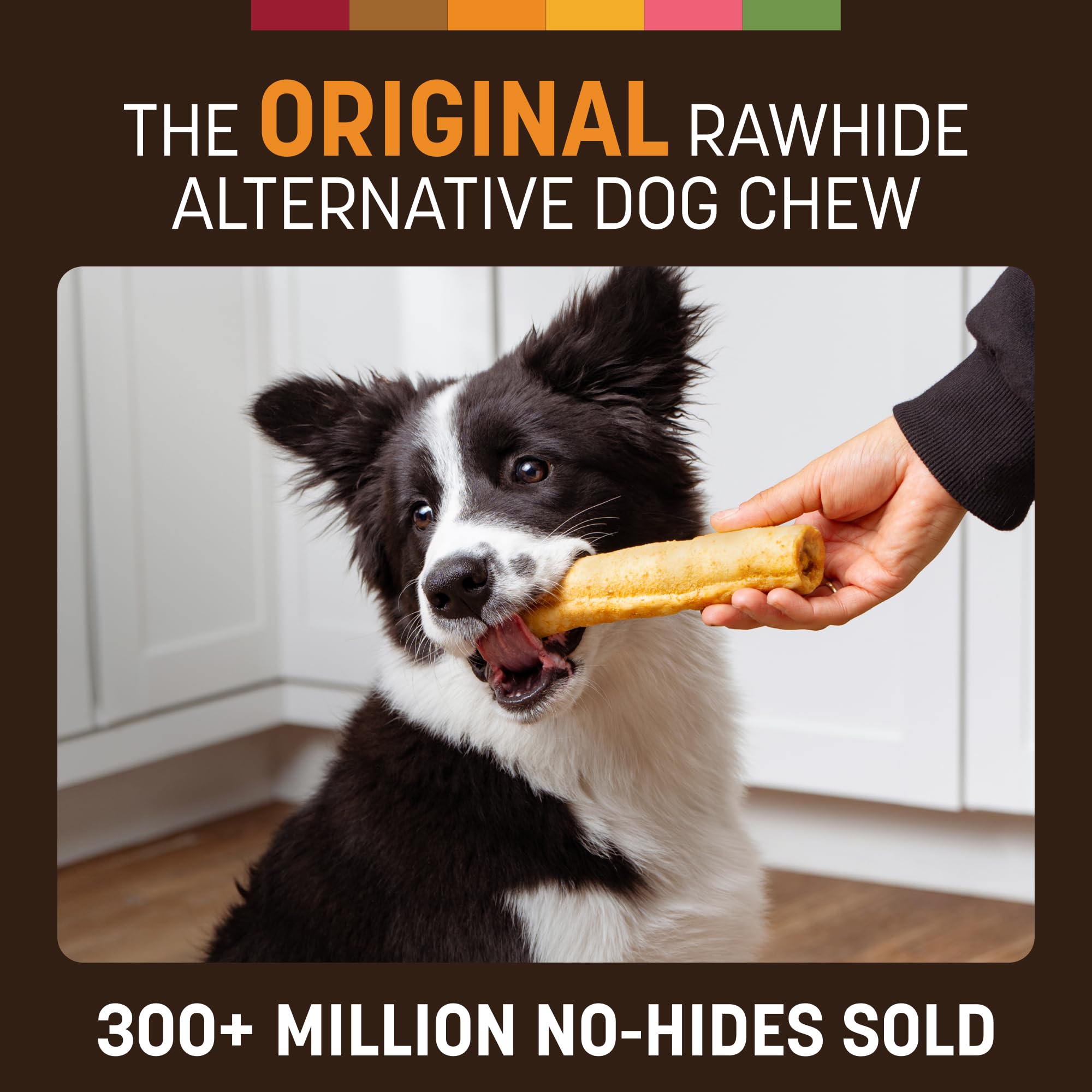 EARTH ANIMAL No Hide Chews - Medium - Jouets à mâcher pour Chien sans Cuir Brut Naturel aromatisé au Poulet - 2 pièces (Paquet de 1)