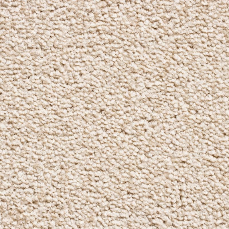 Tuda Carpet | Serene 10mm Pile Saxony Carpet with Action Backing, 12mm Total Height | Champagne (172) - 4m x 2.5 m (13ft1" x 8ft2")