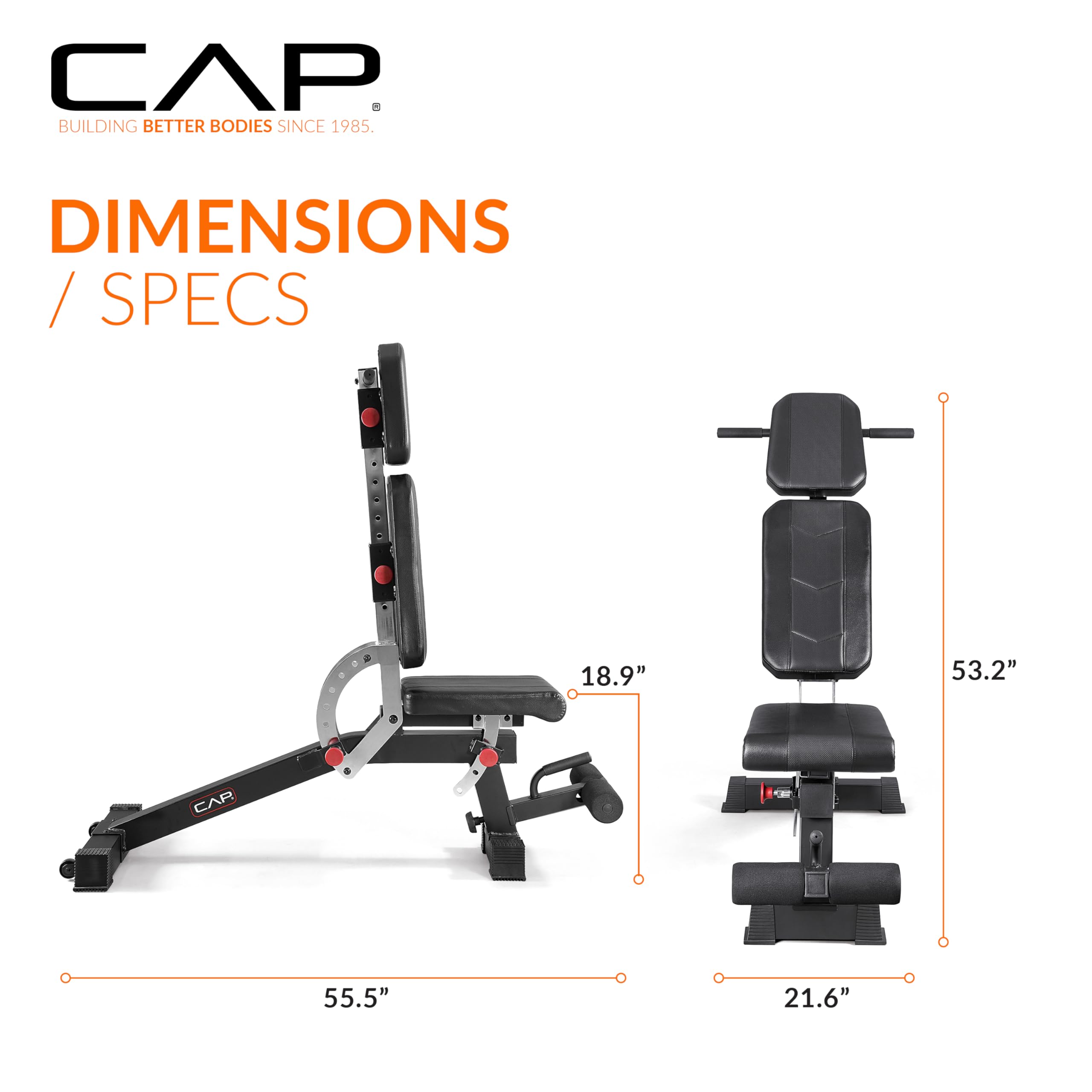 Adjustable Training Utility Weight Bench | Multi-Position Incline Bench with 6 Backrest Adjustments, Leg Anchor, Wheels & 600 LB Capacity | Home Gym Strength Bench