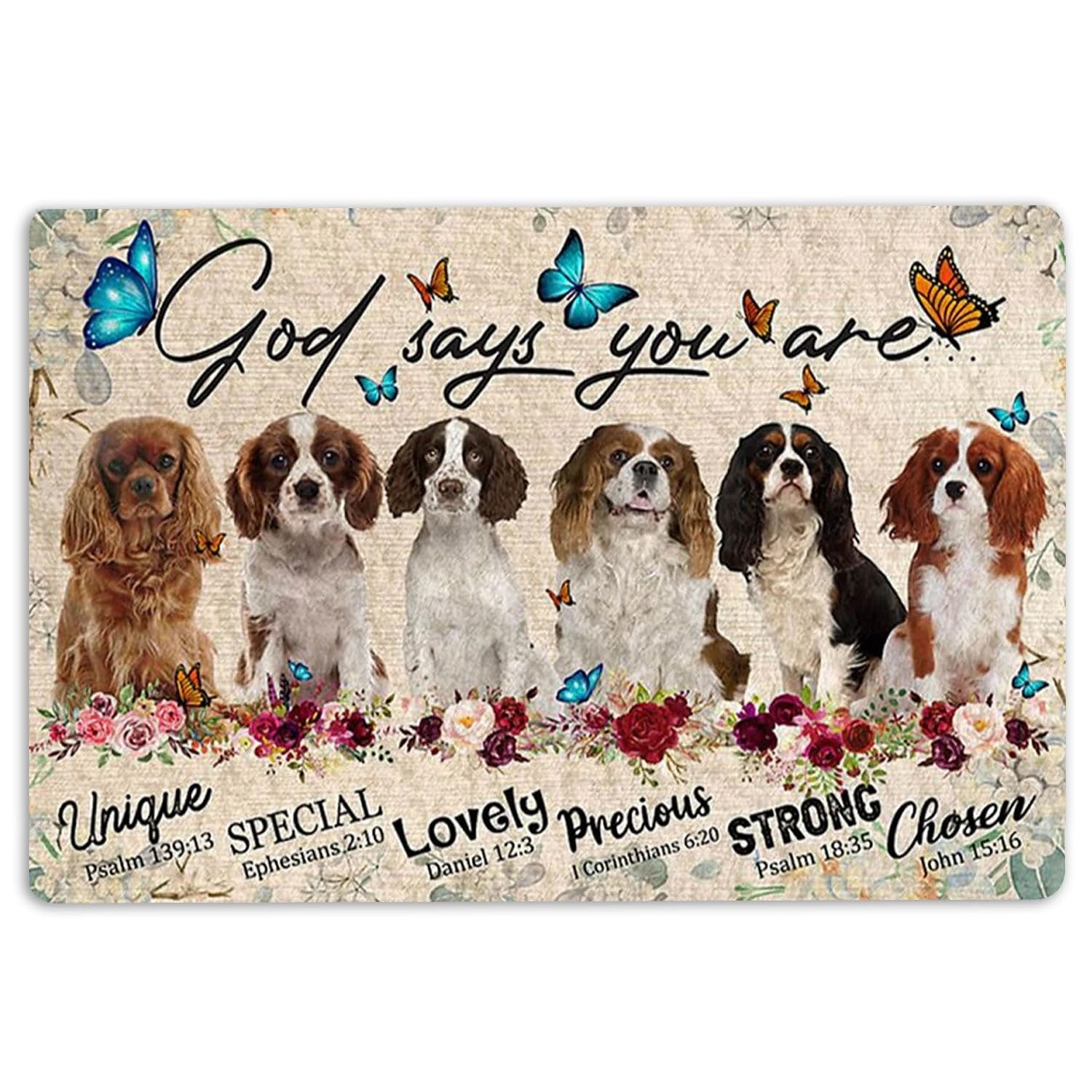 Door Mat Cavalier King Charles God Says You Are Gifts For Dog Lover Welcome Non-Slip Mats Funny Doormat Bathroom Kitchen Front Porch Rugs Entrance 16 * 24in/40 * 60cm