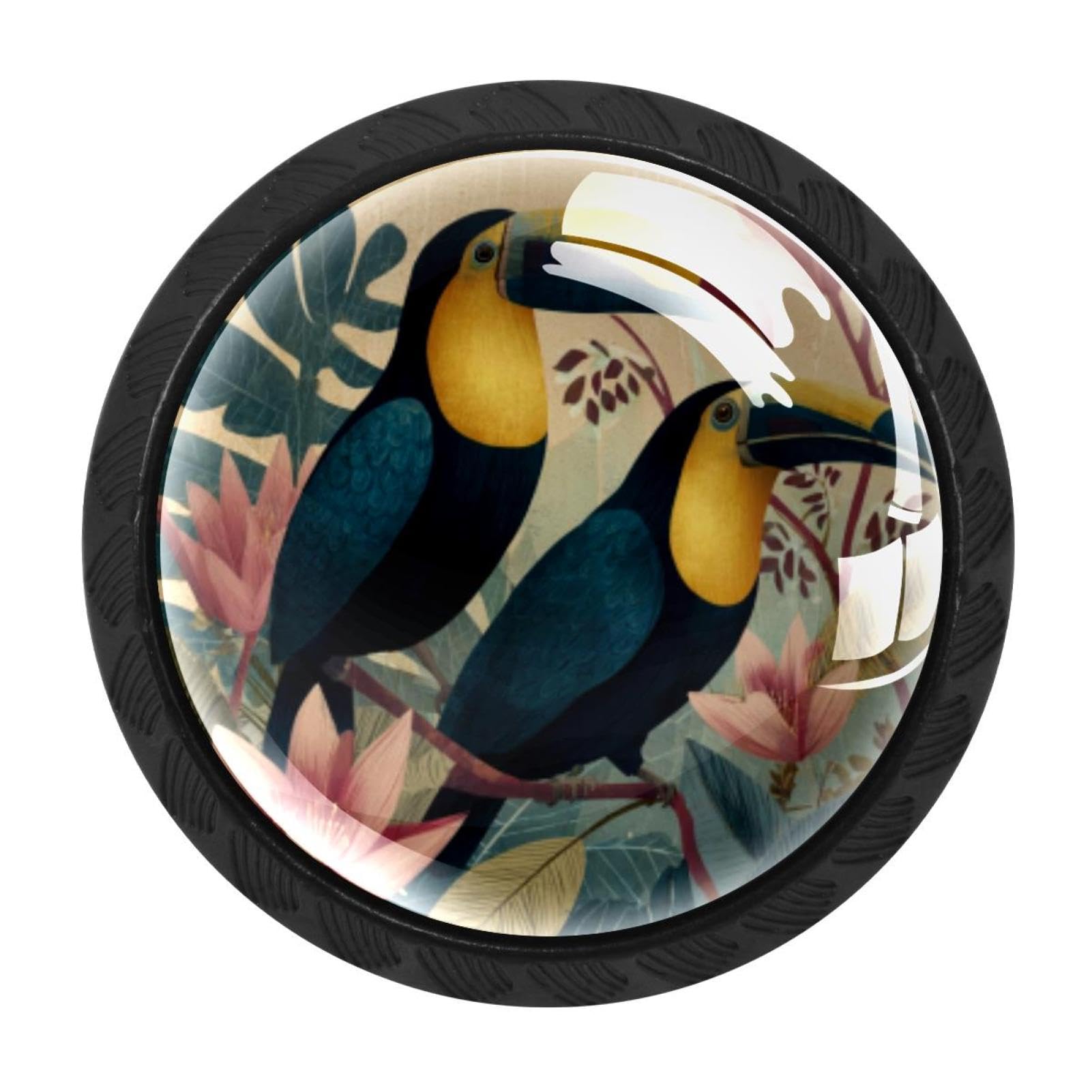 CHENZZZZ 4 Pack Black Birds Tropical Toucans (5) Kitchen Handles, Cabinet Pulls Hardware for Cupboard Drawer Knobs Dresser Pulls