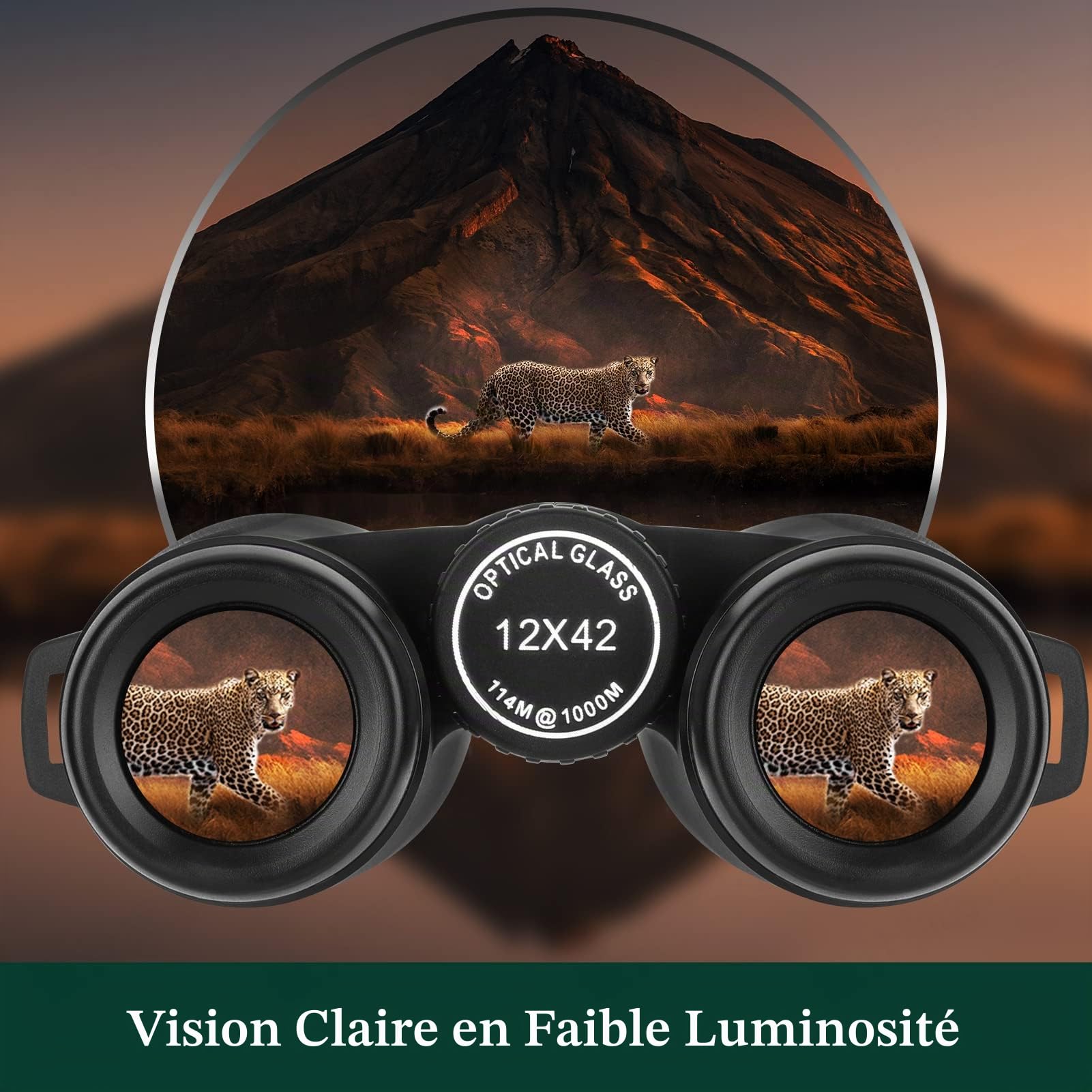 12 x 42 Jumelles compactes pour Adultes avec HD Vision Clair et Faible lumière Vision – Adorrgon Haute Puissance et Portable Jumelles pour Observation des Oiseaux de Chasse Scenery Concerts Sports