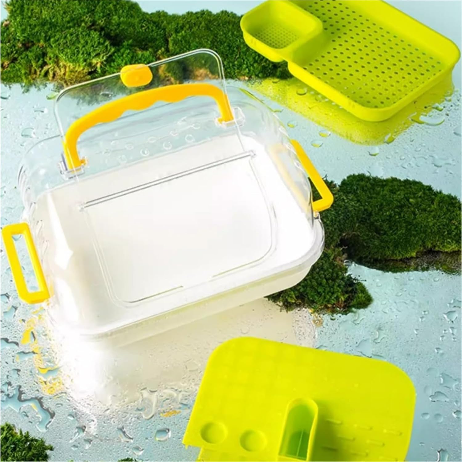 Aquarium Tank Observation and Feeding Box for Ecological Turtle Hatching Animals