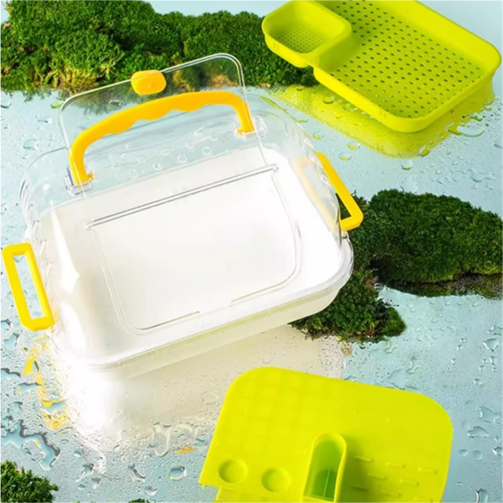 la Caja de alimentación de Reptiles, Comedero de observación for eclosión Tender Green 27x20,5x16cm