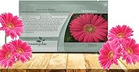 Vista 64 de Outsidepride Bicolor Mix Gerbera Seeds - 10 Pcs Perennial, Compact & Low Maintenance, Flower Seeds for Planting w/Vibrant Mixed Blooms, Ideal for