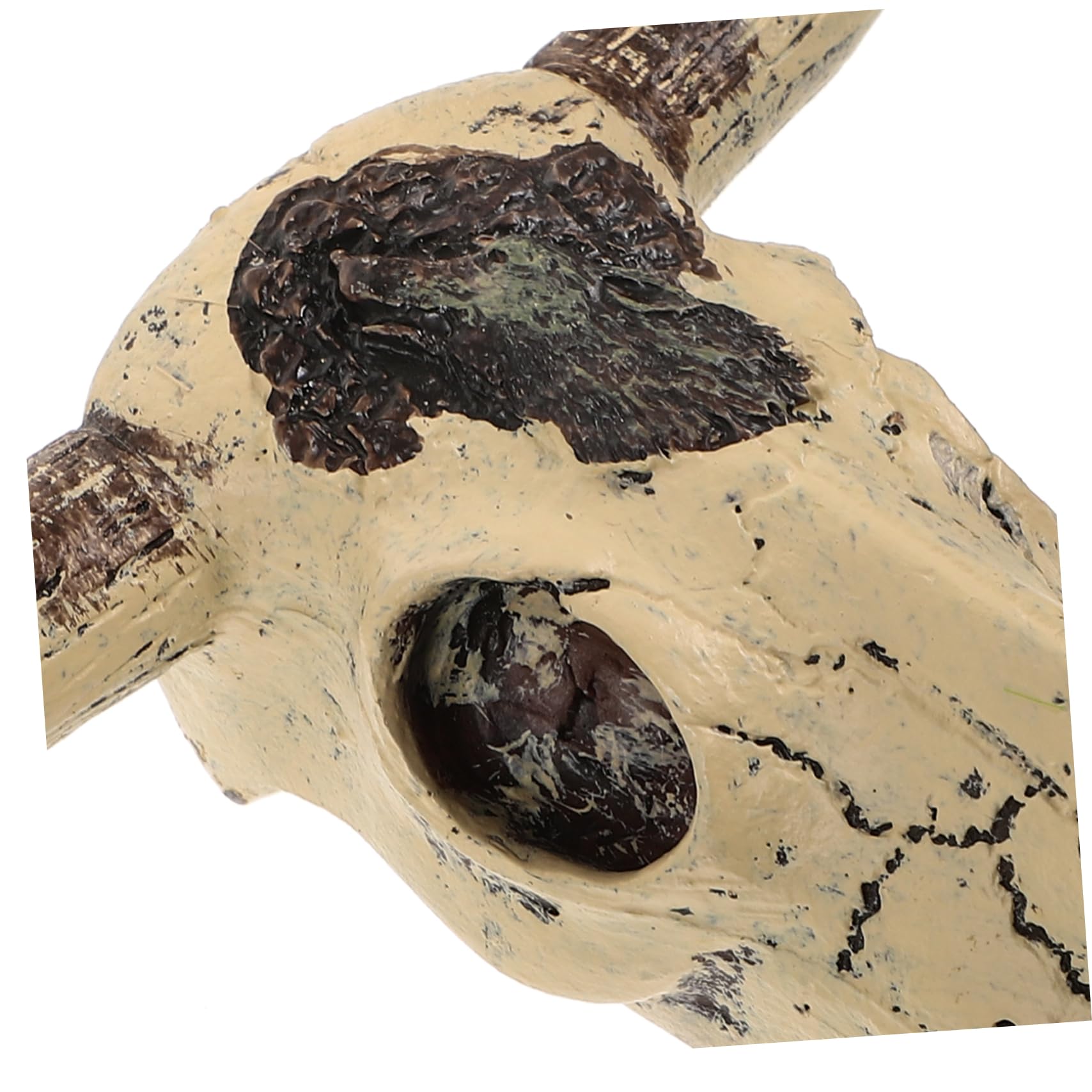 Happyyami 4pièces Décoration Résine De Crâne De pour Aquarium Accessoire Décoratif pour Réservoirs De Reptiles Et Poissons Aménagement Paysager Espace De Cachette pour Animaux