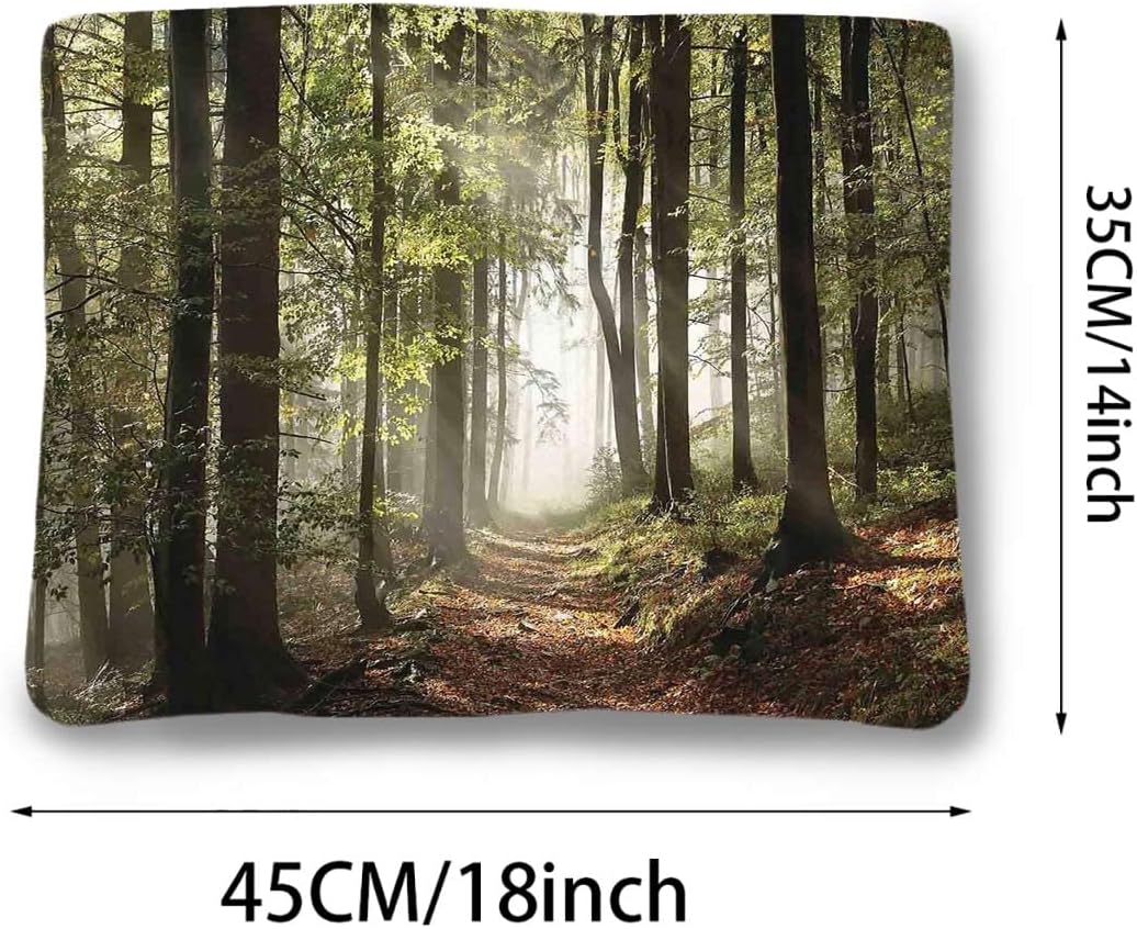 review Green Brown Thermal Pet Mat Bed Liner Autumnal Forest Pathway in The Mountains Scene Reusable pet Pads, Great for Dogs, Cats, Bunny & Seniors Forest 14