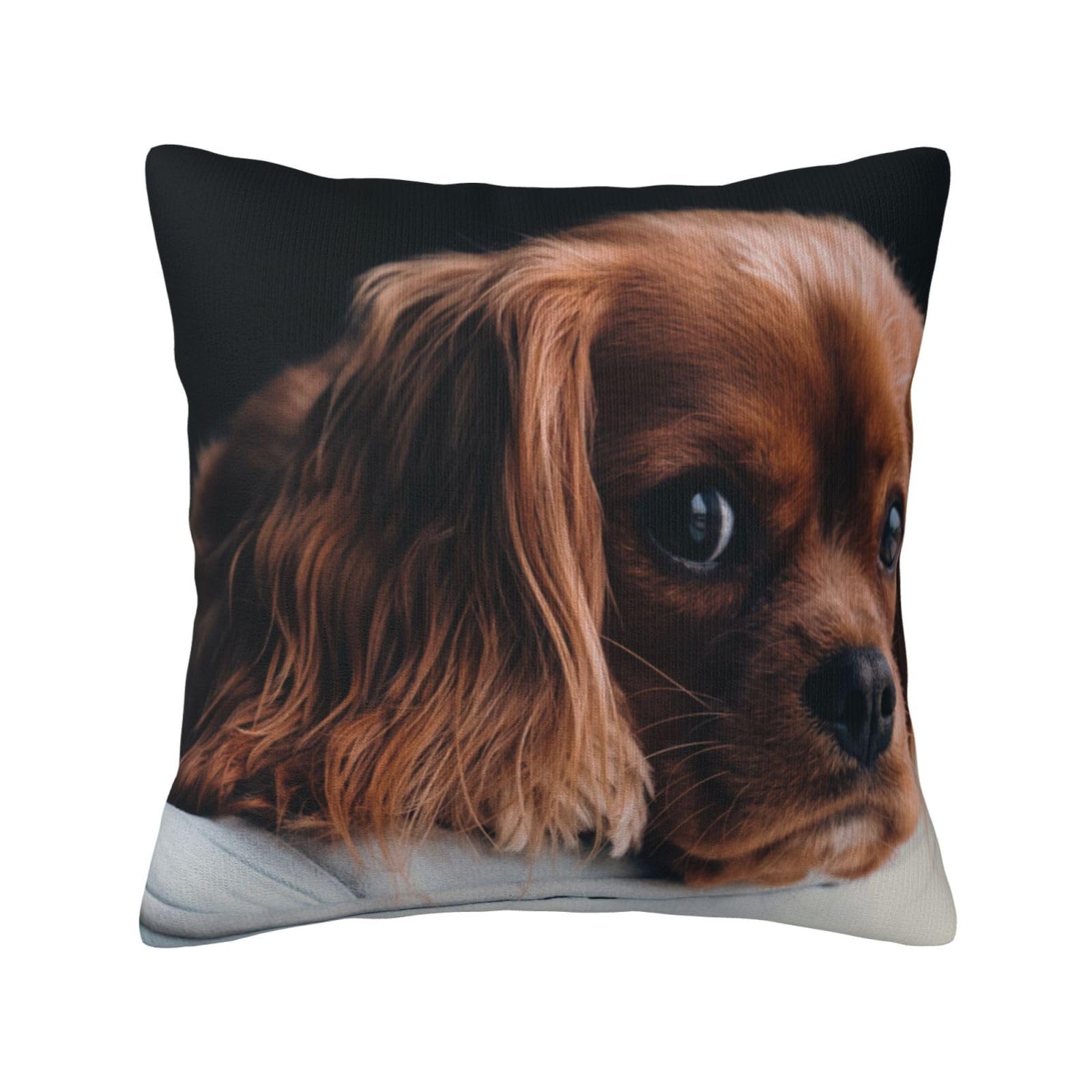 Ruby Cavalier King Charles Spaniel Puppy Dog, Pillow Cover Decorative Throw Pillowcase Soft Polyester Cushion Covers 45x45 cm
