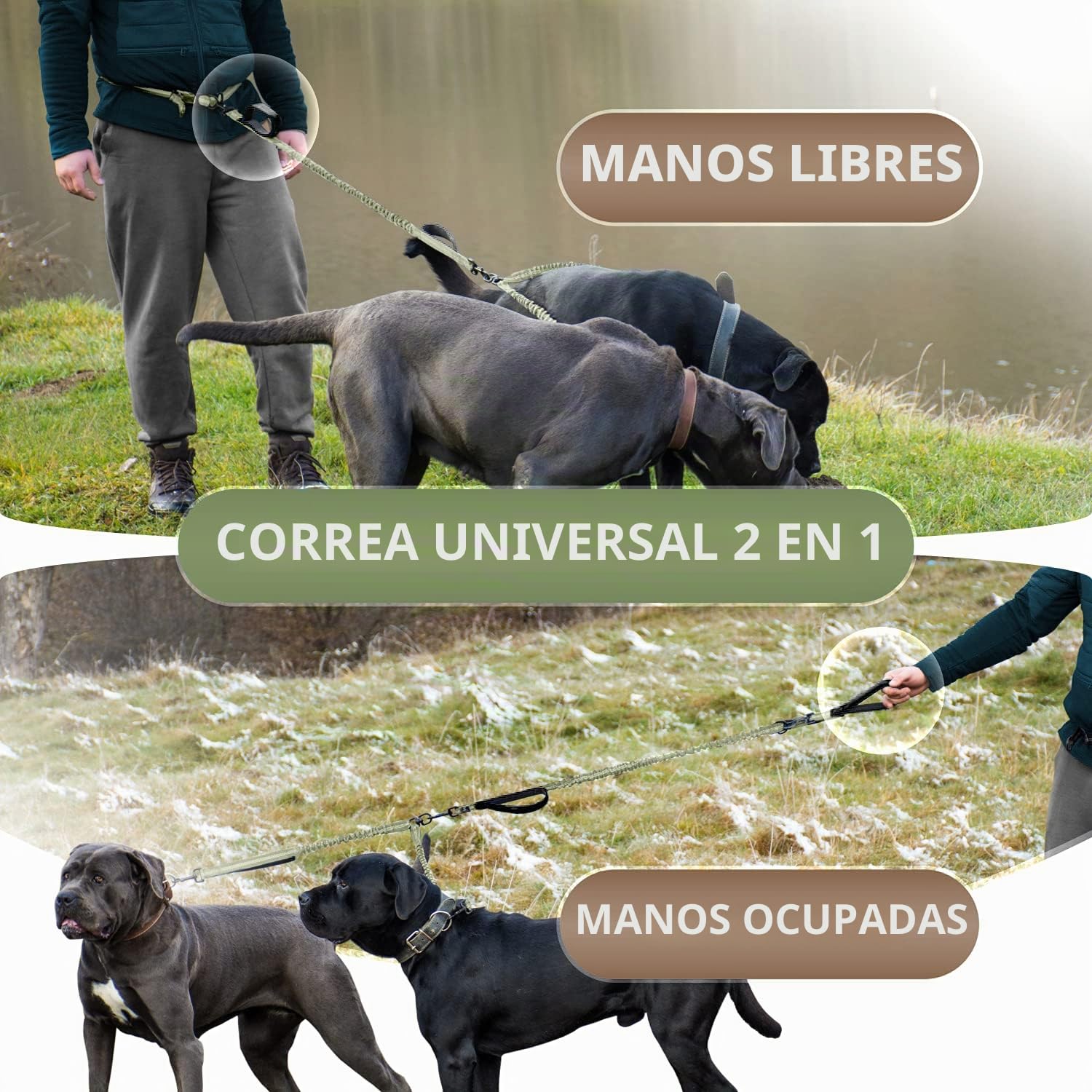 SparklyPets - Correa Manos Libres para Perros de Raza Mediana y Grande, arnés Profesional con Costuras Reflectantes, para Entrenar, Caminar, Trotar y Correr con tu Mascota (Verde Gama, para 2 Perros)