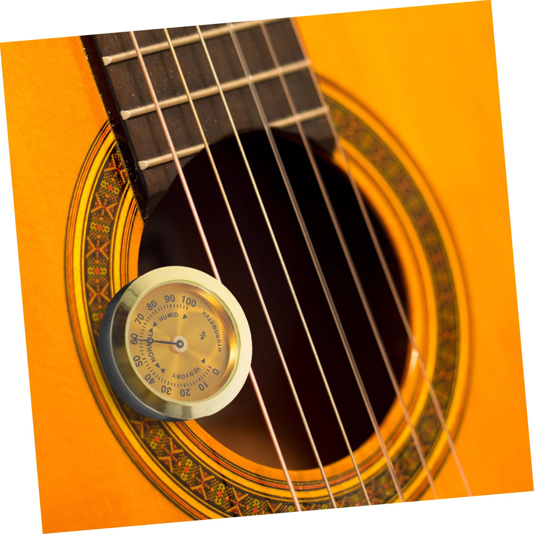 2pezzi Umidificatore Per Chitarra Acustica e Folk Controllo Umidità Intelligente Design Portatile e Sicuro Materiale Per Manutenzione Strumenti Musicali