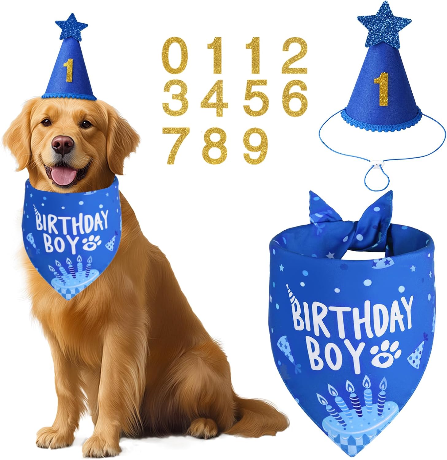 Set de Cumpleaños para Perro Azul - Gorro y Pañuelo Talla XLarge