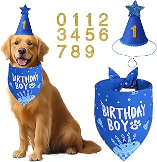 Dog Birthday Party Supplies, Blue Dog Birthday Set with Hat Bandana Numbers for Large