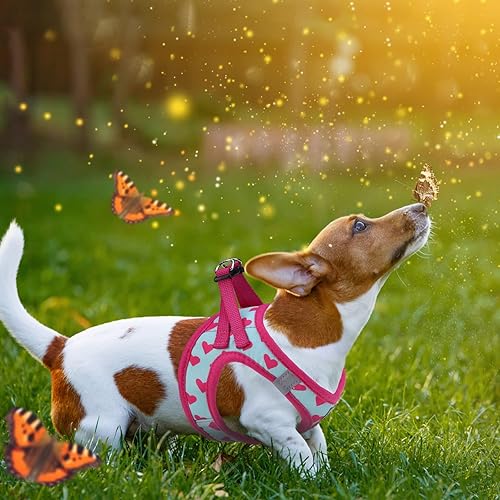 Miniatura 7 de KOOLTAIL Arnés para perro para perros pequeños y medianos, juego de arnés y correa para perro, sin tirones, de malla suave acolchada, ajustable y