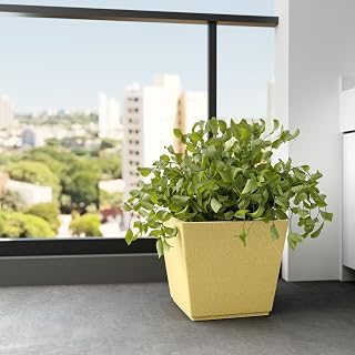 YUCCABE ITALIA FOXB GK 12 Inch Pots for Plants Highly Durable Polymers Lightweight Indoor Outdoor Plant Pots, Flower Pot G... Price In India