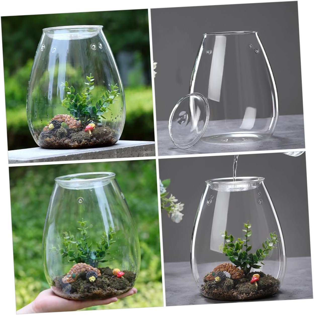 Landscape Glass Bottle for Plants Creative Terrarium Vase Glass Planter for Home Office and Garden Decor for and Flower Display