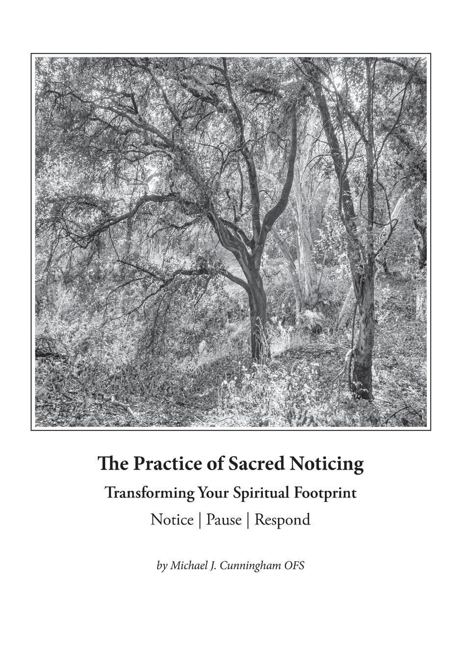 The Practice of Sacred Noticing: How to Transform Your Spiritual Footprint (Noticing the Sacred)