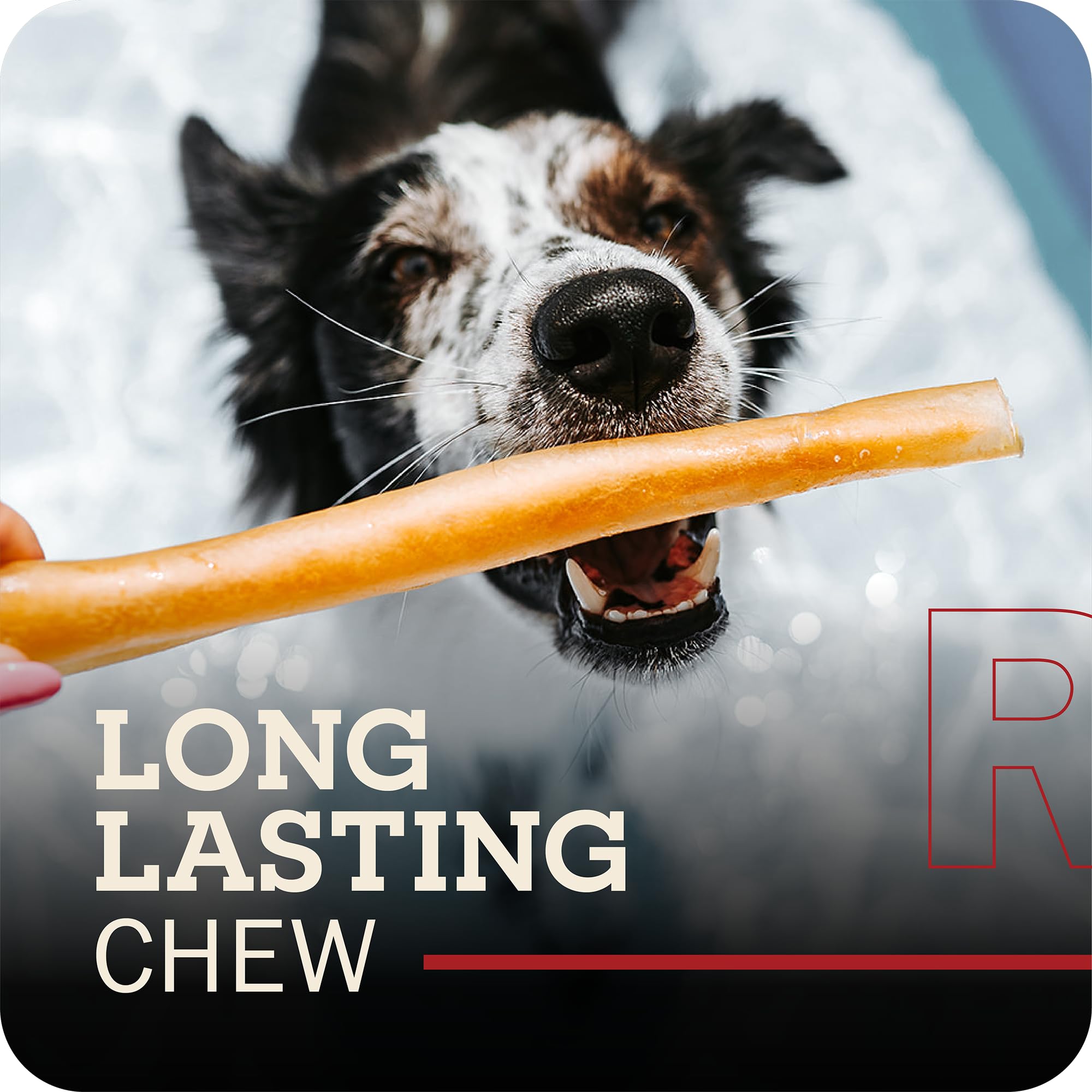 Beef Collagen Sticks for Dogs, Long Lasting Collagen Chews for Dogs. Bully Sticks Alternative High Protein Dental Treats w/Natural Collagen for Dogs Supports Joint, Skin & Coat Health (Large, 3pk)