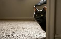 Review Image by kadyn kadyn