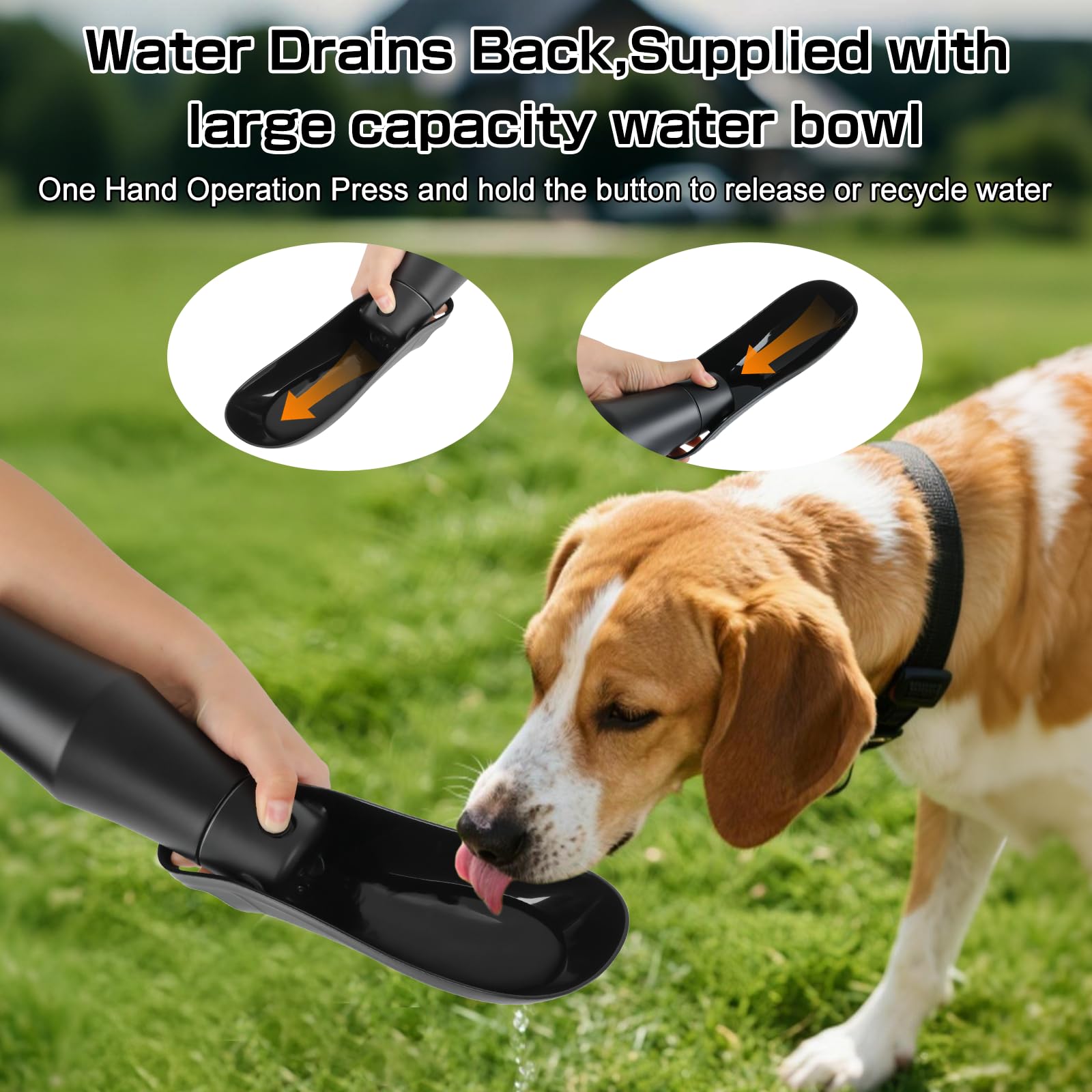 Hundetrinkflasche für Unterwegs - 750ml Trinkflasche Hunde, Auslaufsicher & Robust aus Edelstahl, Vakuum Isolierte, Hunde Trinkflasche to go, Geschenke Männer Papa