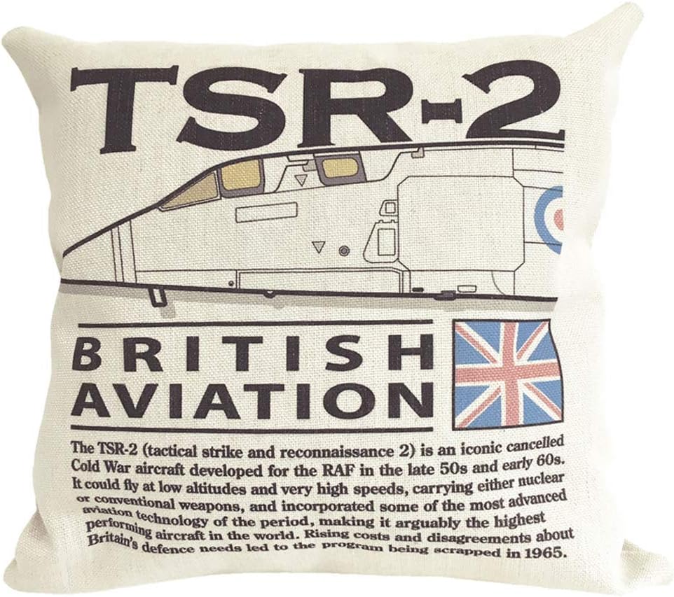 The Wooden Model Company LtdBritish Aircraft Corporation TSR-2 Strike and Reconnaissance Aircraft Cushion and Inner Included Off-White