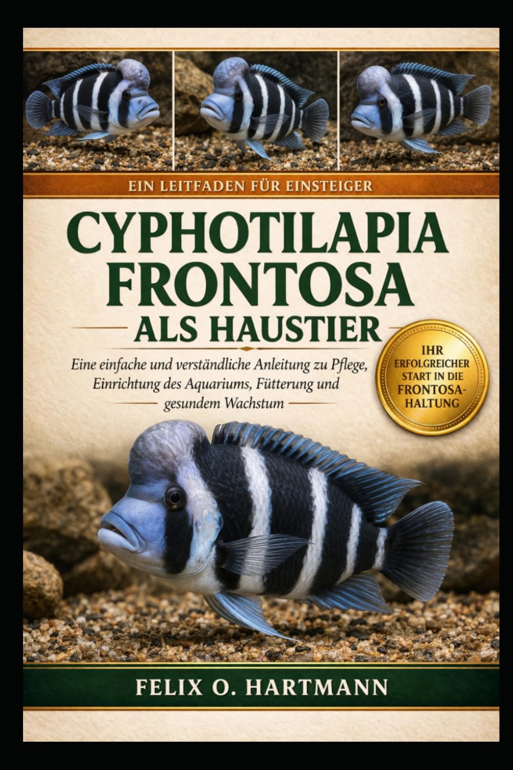 cyphotilapia frontosa als haustier: Eine einfache und verständliche Anleitung zu Pflege, Einrichtung des Aquariums, Fütterung und gesundem Wachstum