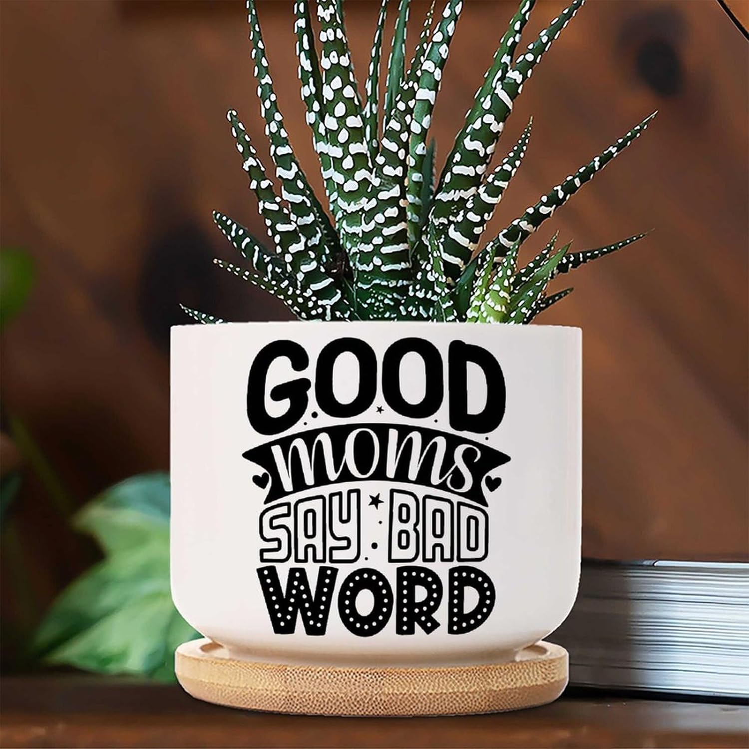 3 Piece Happy Mother's Day Garden Decor Succulent Pot Good Moms Say Bad Word Small Plant Pot Ceramic with Drainage Mother's Day Quote Mom Quotes Ceramic Planters