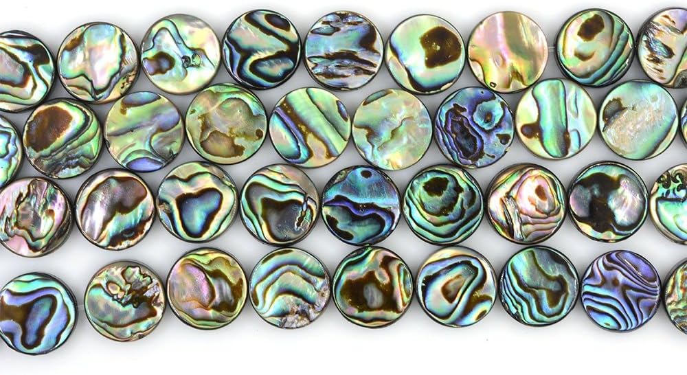 16mm Natural Abalone Shell Flat Coin Beads Strand 16 Inch Jewelry Making Beads