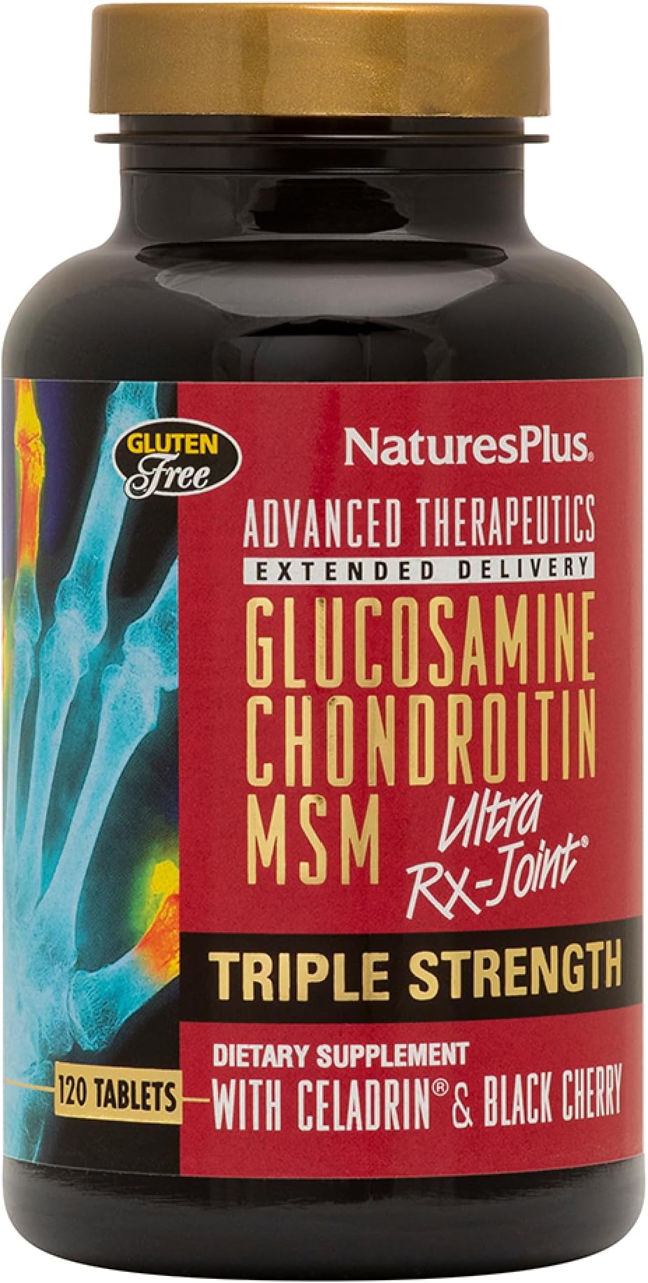 Glucosamine Chondroitin MSM Triple Strength