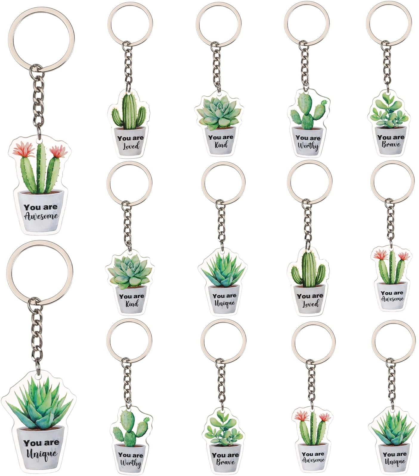 Inspirational Party Decorations, 12pcs Plant Inspirational Party Favors Keychains Succulent Cactus Greenery Affirmation Keychains for Plant Theme Inspirational Party Favors Bulk