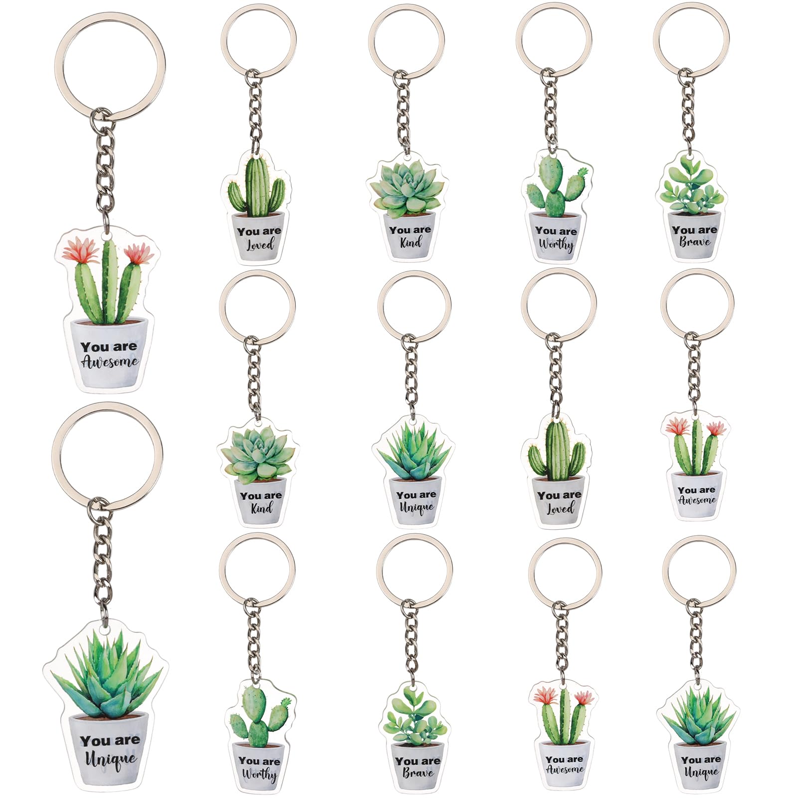 Inspirational Party Decorations, 12pcs Plant Inspirational Party Favors Keychains Succulent Cactus Greenery Affirmation Keychains for Plant Theme Inspirational Party Favors Bulk, Plant,