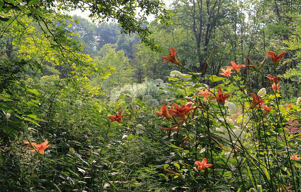 The View from Federal Twist: A New Way of Thinking About Gardens, Nature and Ourselves