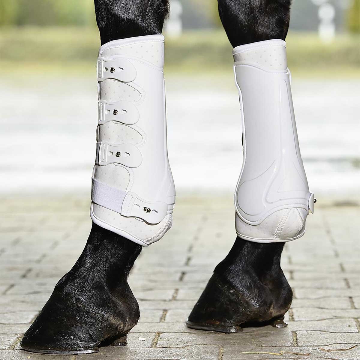 Busse Gamaschen Dressage-PRO