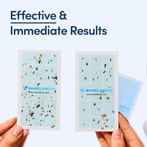 Miniatura 7 de BuzzTrap - Trampa para insectos voladores para interiores, mosca enchufable, mosca de la fruta, mosquitos y trampa para mosquitos (1 dispositivo + 5