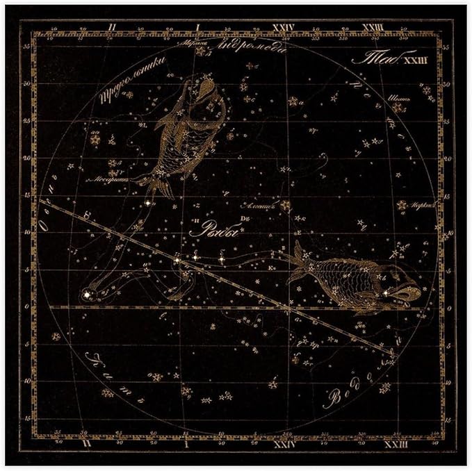 Pisces Zodiac Sign, Old Russian Astronomy Chart, Star Constellation Illustration, Vintage Style Living Room Bedroom Decoration Poster for Room Aesthetics Canvas Wall Art And Print 20x20inch(50x50cm)